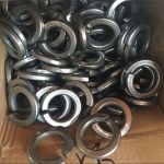 ਬਸੰਤ ਵਾੱਸ਼ਰ