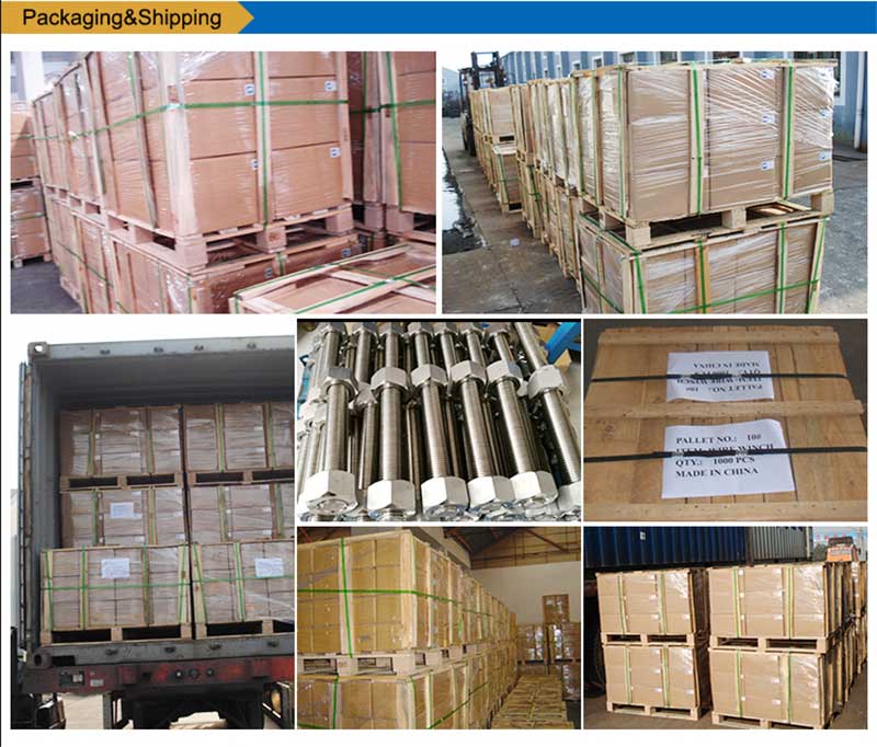 ਸਟੀਲ-ਸਟੀਲ-ਸੂਚੀ-ਬੋਲਟਸ-ਪੇਚ-ਫਾਸਟਰ-ਪੈਕਿੰਗ